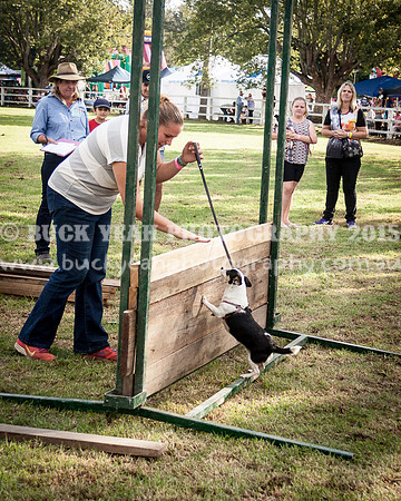 Stroud Show 301