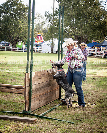 Stroud Show 302
