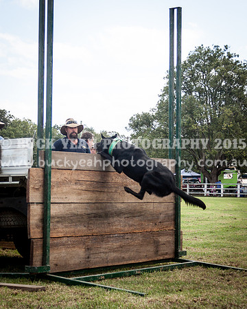 Stroud Show 310