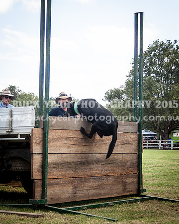Stroud Show 311