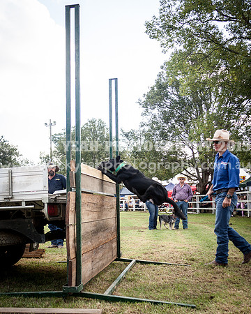Stroud Show 316