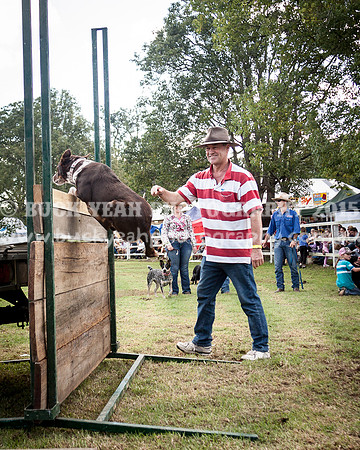 Stroud Show 319