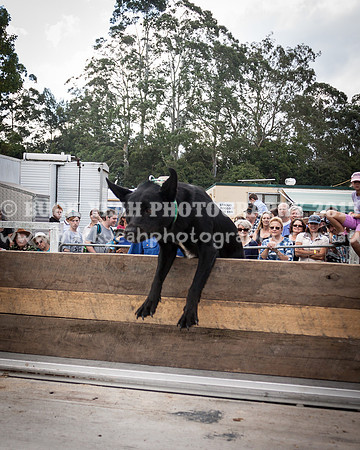 Stroud Show 321