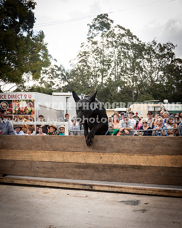 Stroud Show 324