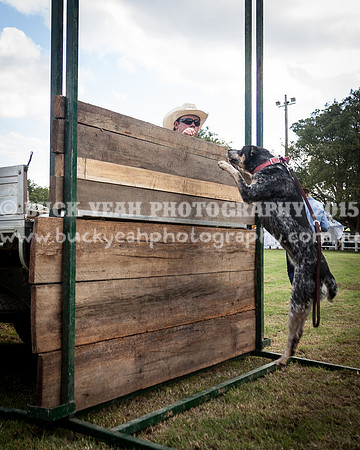 Stroud Show 327