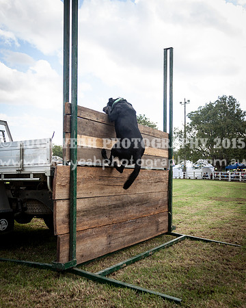 Stroud Show 330