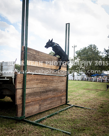 Stroud Show 332