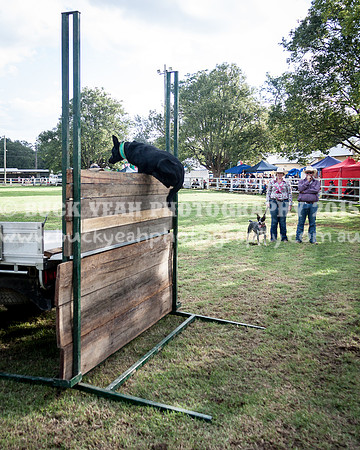 Stroud Show 338