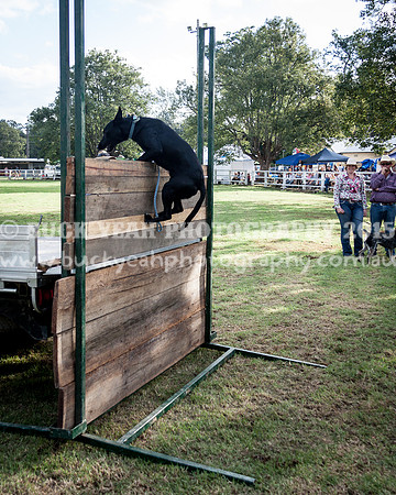 Stroud Show 340