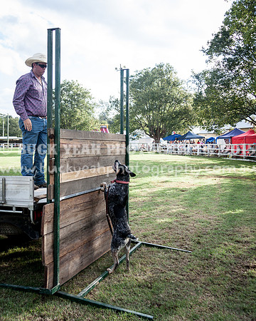 Stroud Show 343