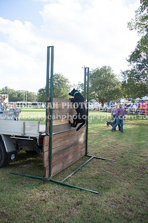 Stroud Show 345