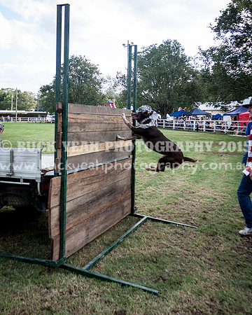 Stroud Show 350