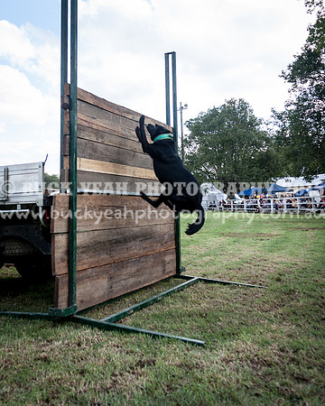 Stroud Show 352