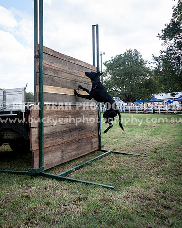 Stroud Show 354