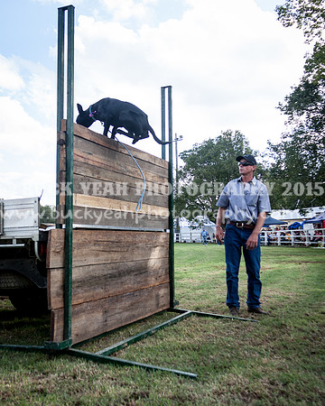 Stroud Show 357
