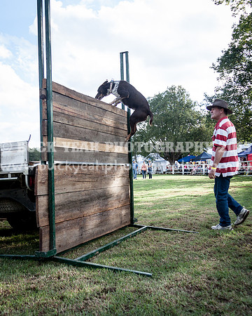 Stroud Show 359