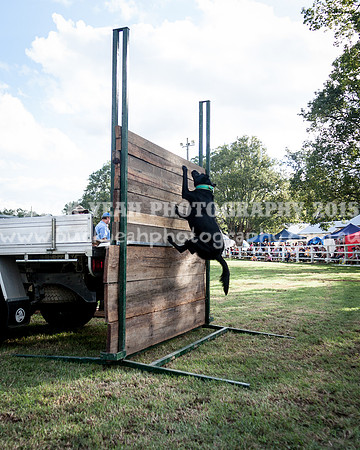 Stroud Show 360