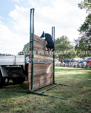 Stroud Show 362