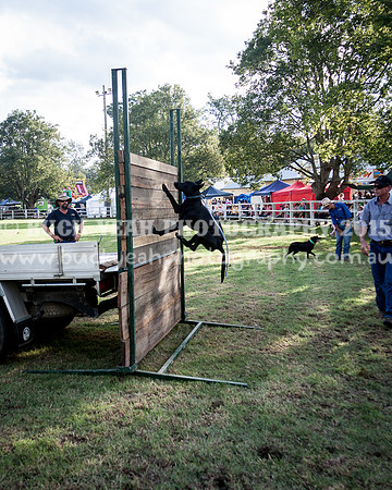 Stroud Show 370
