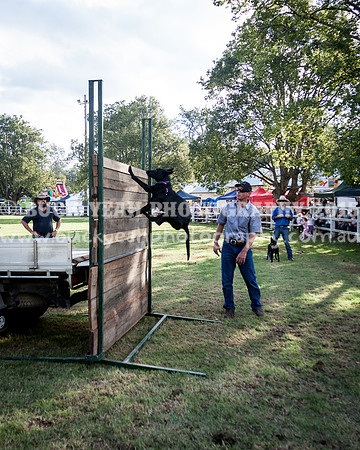 Stroud Show 372