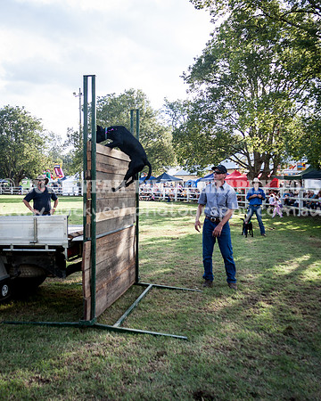 Stroud Show 373