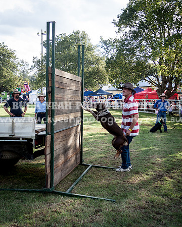 Stroud Show 374