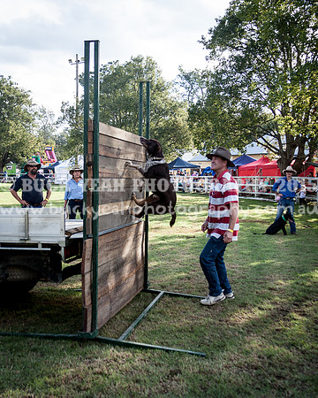 Stroud Show 375