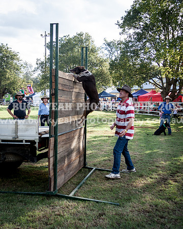 Stroud Show 376