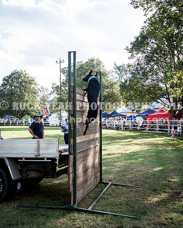 Stroud Show 380