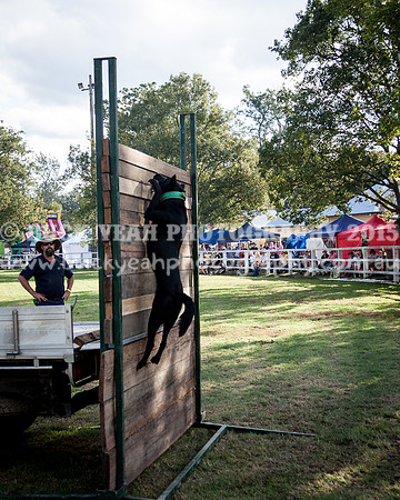 Stroud Show 388