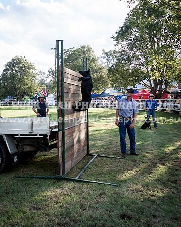 Stroud Show 394