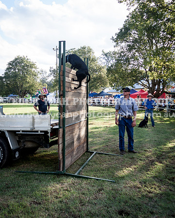 Stroud Show 396