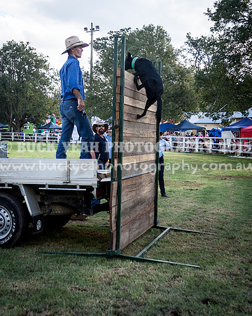 Stroud Show 400