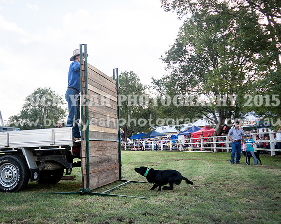 Stroud Show 403