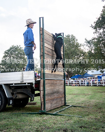 Stroud Show 405