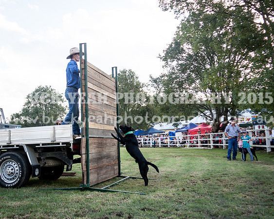 Stroud Show 404