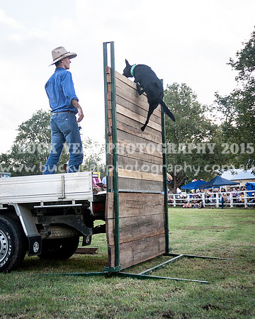 Stroud Show 406