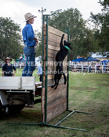 Stroud Show 407