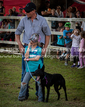 Stroud Show 409