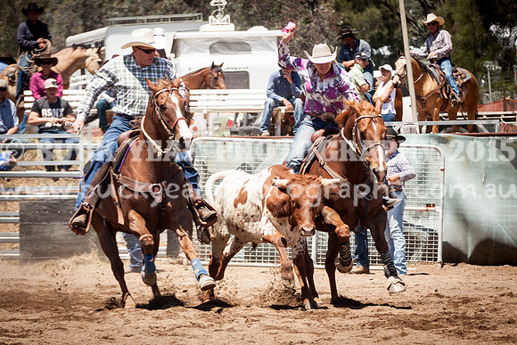Muswellbrook-268