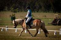 SPP Dressage 2025-1