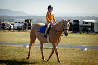SPP Dressage 2025-11