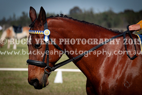 SPP Dressage 2025-33