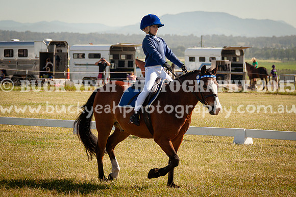 SPP Dressage 2025-41