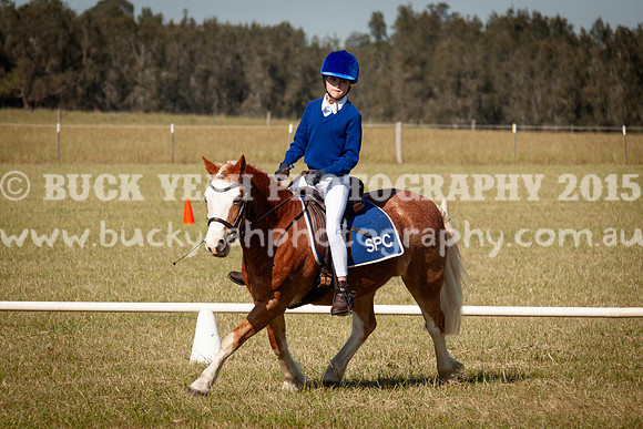 SPP Dressage 2025-44