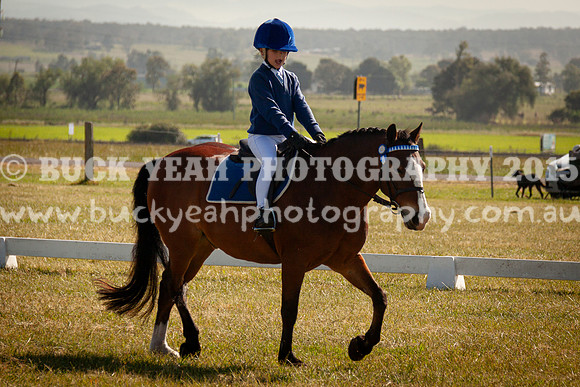 SPP Dressage 2025-46