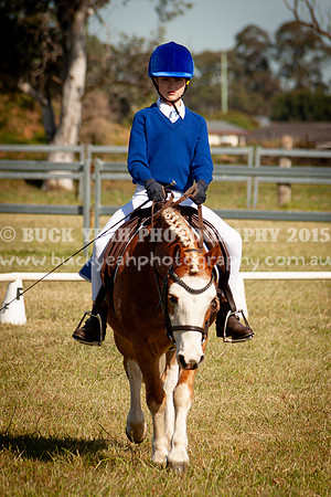 SPP Dressage 2025-47