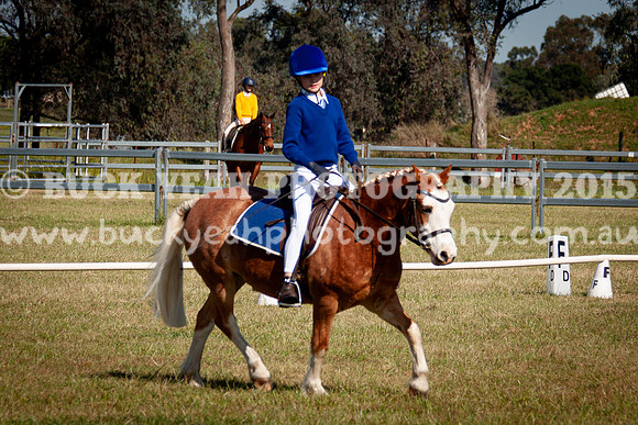 SPP Dressage 2025-50