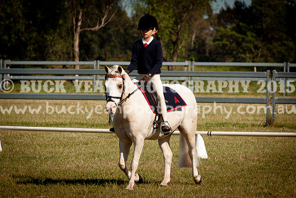 SPP Dressage 2025-51