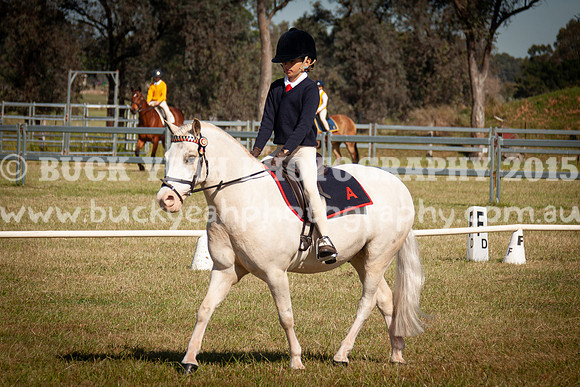 SPP Dressage 2025-54